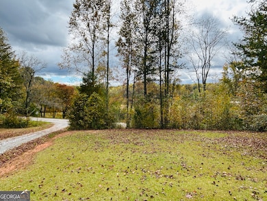 3077 Alec Mountain Rd, Clarkesville, GA 30523 - photo 2