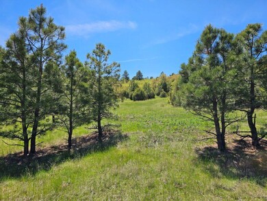 0 Alpine Meadows Dr unit F42 23-677, Trinidad, CO 81082 - photo 3