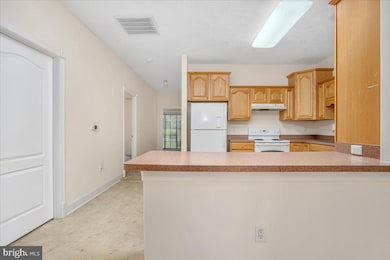 12993 Little Hayden Cir, Hagerstown, MD 21742 - photo 7