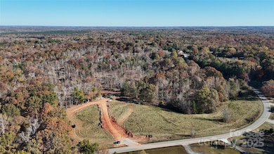 01 Tirzah Church Rd, Marvin, NC 28173 - photo 5