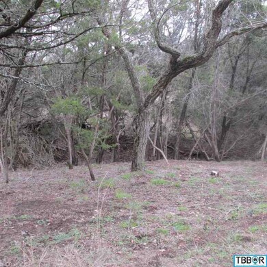 143 Deer Run, Moody, TX 76557 - photo 7