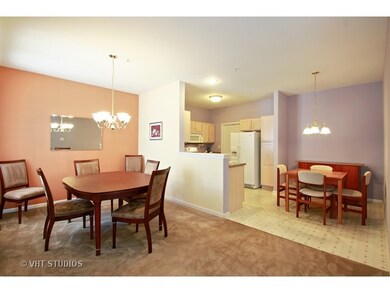 3821 Traditions Dr unit 3821, Olympia Fields, IL 60461 - photo 4