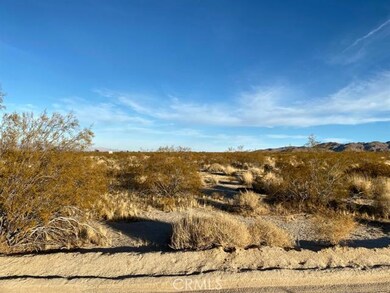 0 Dorth Place unit 531328, 29 Palms, CA 92277 - photo 4