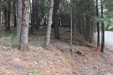 5511 Shooting Star Rd, Pollock Pines, CA 95726 - photo 7