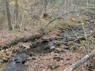 L24.1 Darfler Ln, Granville, NY 12832 - photo 7