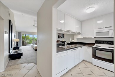 3071 Sandpiper Bay Cir unit 301, Naples, FL 34112 - photo 5