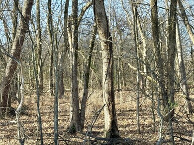 5156 Batchelor St, Clarksville, TN 37043 - photo 4