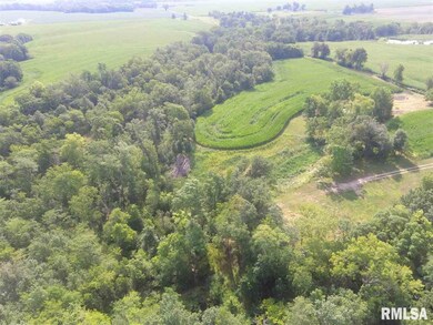 2282 Lone Rd, Ashland, IL 62612 - photo 3