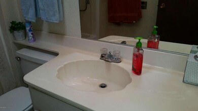 Master bath sink