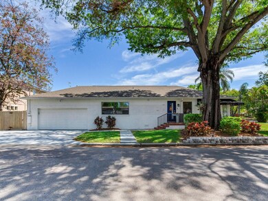 3917 W Euclid Ave, Tampa, FL 33629 - photo 6