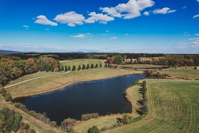 Lot 21 Rolling Rd S, Scottsville, VA 24590 - photo 4