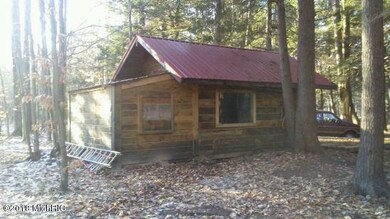 Suring cabin hesperia 1