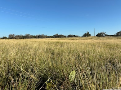 183 Lipan Loop, Harper, TX 78631 - photo 3