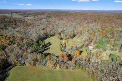 6827 Wayne 505, Greenville, MO 63944 - photo 2