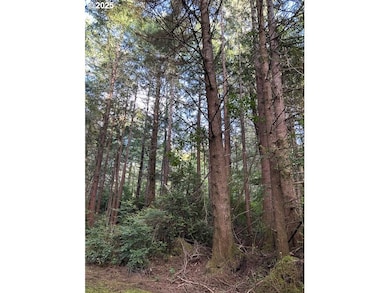 0 SW Flansberg Ave, Waldport, OR 97394 - photo 2