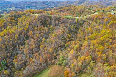 TBD 3 Mayito Ln, Mouth of Wilson, VA 24363 - photo 6