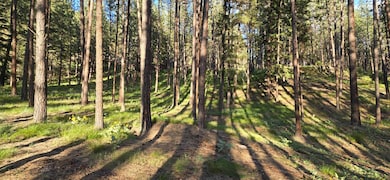 NHN Profile Rock, Alberton, MT 59820 - photo 3