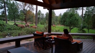 Lots of Elk Friends