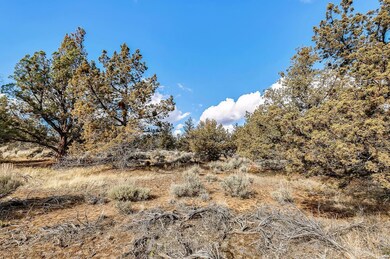 1 Farview Dr, Bend, OR 97703 - photo 4