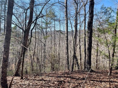 XX Marble Branch Trail, Walhalla, SC 29691 - photo 7