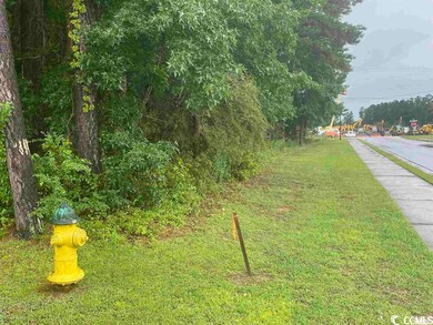 2626 Highway 378, Conway, SC 29527 - photo 3