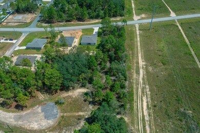 2779 W Tracy Ct, Citrus Springs, FL 34433 - photo 7