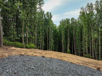 0 Restmore Ln, Stanley, VA 22851 - photo 4