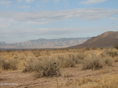 IMG_4477