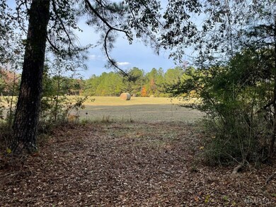 . County Road 69, Valley Grande, AL 36701 - photo 7