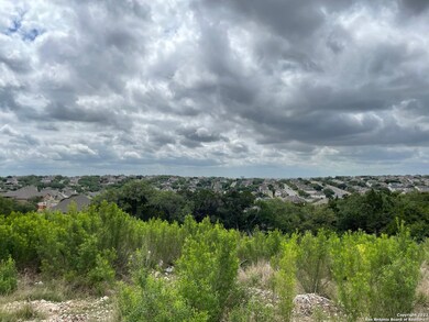 25914 Big Cypress, San Antonio, TX 78261 - photo 5