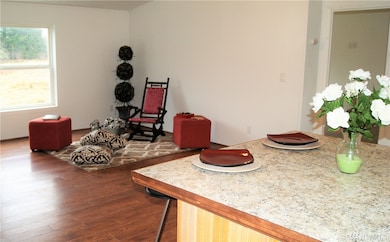 14344 Solberg Rd SE, Yelm, WA 98597 - photo 5