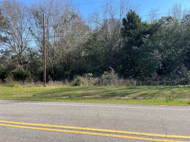 N/A N Doublegate Dr, Leesburg, GA 31763 - photo 2