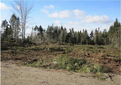 What land looks like cleared. The...