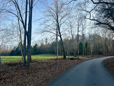 Lot 5 Radford Rd, East Bernstadt, KY 40729 - photo 3