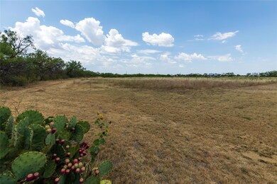 466 Fm 1750, Abilene, TX 79602 - photo 7