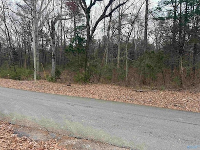 32 Acres Hogan Rd, Falkville, AL 35622 - photo 5