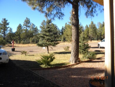 4951 S 28th St, Show Low, AZ 85901 - photo 4