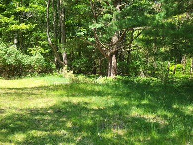 20230526_120608_resized