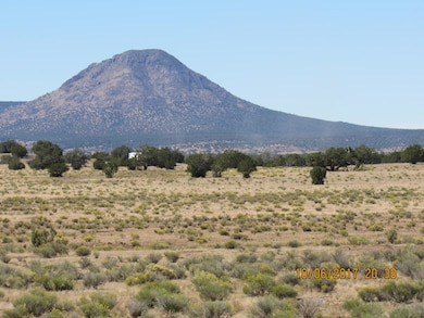 229 Juniperwood Ranch, Ash Fork, AZ 86320 - photo 4