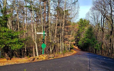 LT 8 Turkey Knob Estates, Ellijay, GA 30540 - photo 2