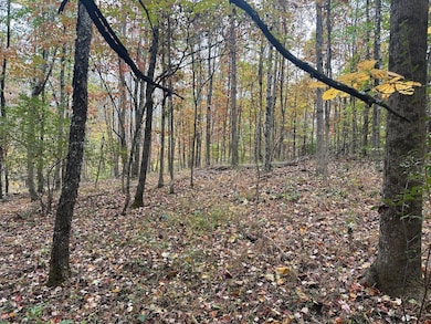 0 Jericho Rd unit 25758594, Walker, WV 26180 - photo 3