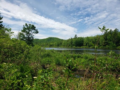 View of Mill Pond