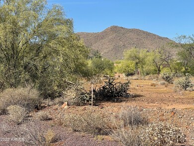 IMG_0003