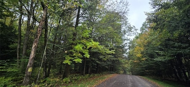 0 Sprague Rd unit 333093, Afton, NY 13730 - photo 2