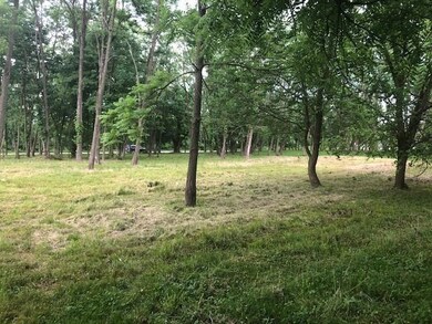 Bluebird lot 3
