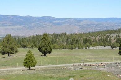 25123 Ingle Creek Rd, Mount Vernon, OR 97865 - photo 5