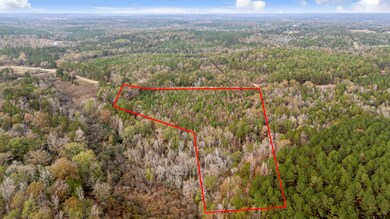 2528 Farm To Market Road 1798 W, Laneville, TX 75667 - photo 5