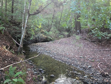 1777 Sprowl Creek Rd, Garberville, CA 95542 - photo 7