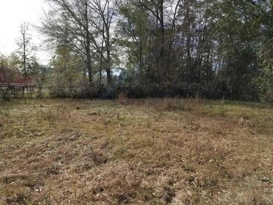 1505 Adcox Rd-Backyard