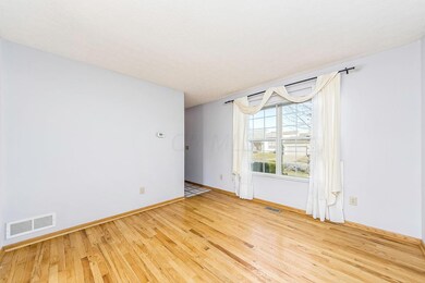 C - 2985 Ambarwent (11)